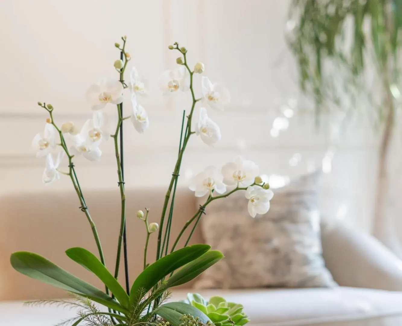 Villa Ganz Boutique Hotel Γκουανταλαχάρα
